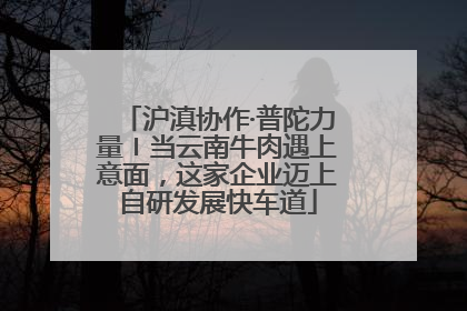 沪滇协作·普陀力量〡当云南牛肉遇上意面，这家企业迈上自研发展快车道