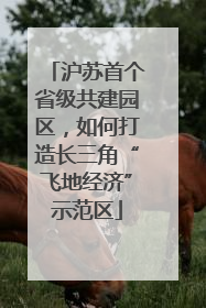 沪苏首个省级共建园区，如何打造长三角“飞地经济”示范区