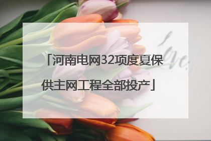 河南电网32项度夏保供主网工程全部投产