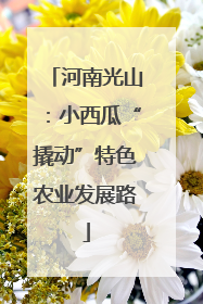 河南光山：小西瓜“撬动”特色农业发展路