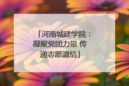 河南城建学院：凝聚党团力量 传递志愿温情