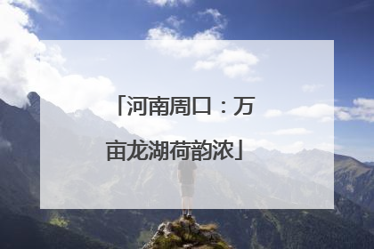 河南周口：万亩龙湖荷韵浓