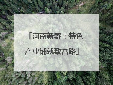 河南新野：特色产业铺就致富路