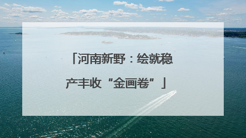 河南新野：绘就稳产丰收“金画卷”