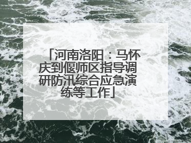 河南洛阳：马怀庆到偃师区指导调研防汛综合应急演练等工作