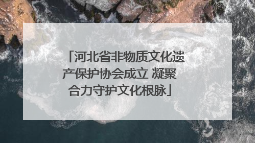 河北省非物质文化遗产保护协会成立 凝聚合力守护文化根脉