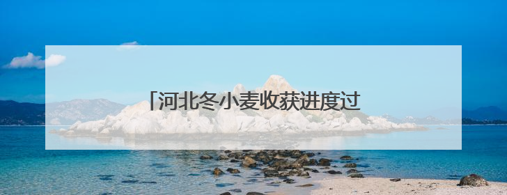 河北冬小麦收获进度过半 夏玉米有序种植