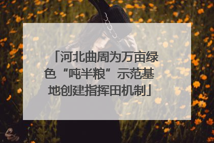 河北曲周为万亩绿色“吨半粮”示范基地创建指挥田机制