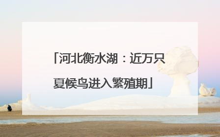 河北衡水湖：近万只夏候鸟进入繁殖期