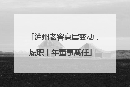 泸州老窖高层变动，履职十年董事离任