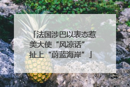 法国涉巴以表态惹美大使“风凉话” 扯上“蔚蓝海岸”