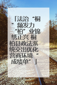 法治“桐”频发力 “柏”业锦绣正兴 桐柏县政法系统交出优化营商环境“成绩单”
