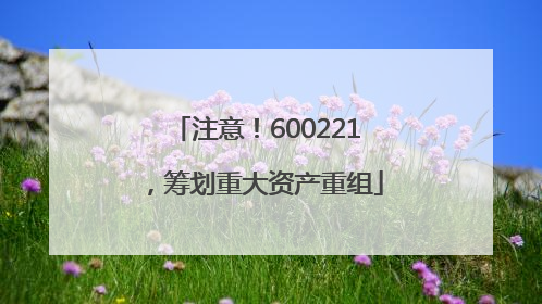 注意！600221，筹划重大资产重组