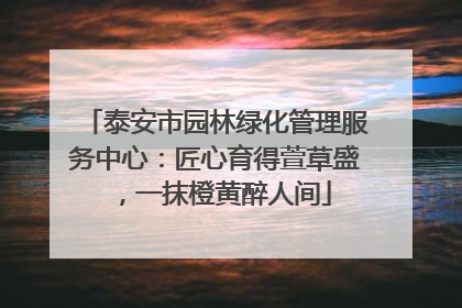 泰安市园林绿化管理服务中心：匠心育得萱草盛，一抹橙黄醉人间
