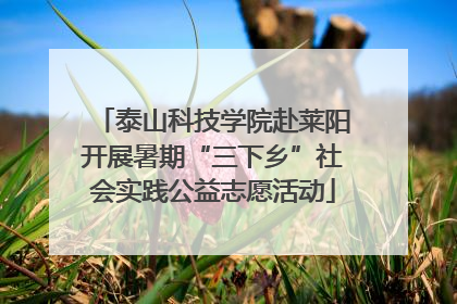 泰山科技学院赴莱阳开展暑期“三下乡”社会实践公益志愿活动