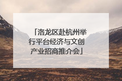 洛龙区赴杭州举行平台经济与文创产业招商推介会