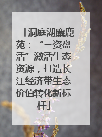 洞庭湖麋鹿苑：“三资盘活”激活生态资源，打造长江经济带生态价值转化新标杆