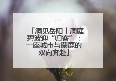 洞见岳阳丨洞庭碧波迎“归客”：一座城市与麋鹿的双向奔赴