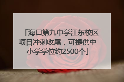 海口第九中学江东校区项目冲刺收尾，可提供中小学学位约2500个