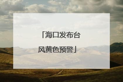 海口发布台风黄色预警
