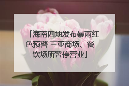 海南四地发布暴雨红色预警 三亚商场、餐饮场所暂停营业
