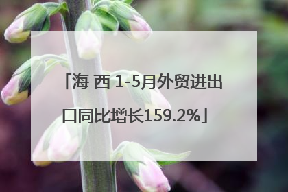海 西 1-5月外贸进出口同比增长159.2%