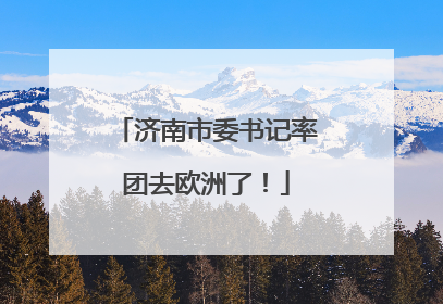 济南市委书记率团去欧洲了！
