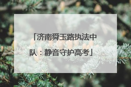 济南舜玉路执法中队：静音守护高考