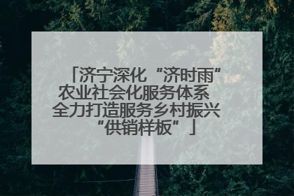 济宁深化“济时雨”农业社会化服务体系 全力打造服务乡村振兴“供销样板”