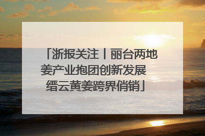 浙报关注丨丽台两地姜产业抱团创新发展 缙云黄姜跨界俏销
