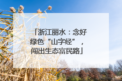 浙江丽水：念好绿色“山字经”，闯出生态富民路