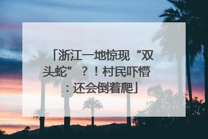 浙江一地惊现“双头蛇”？！村民吓懵：还会倒着爬