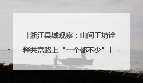 浙江县域观察：山间工坊诠释共富路上“一个都不少”
