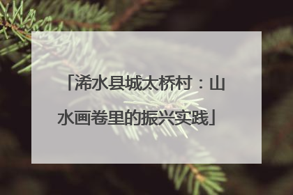 浠水县城太桥村：山水画卷里的振兴实践