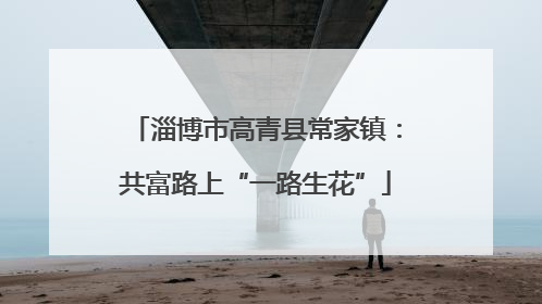 淄博市高青县常家镇：共富路上“一路生花”