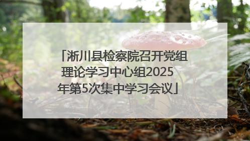 淅川县检察院召开党组理论学习中心组2025年第5次集中学习会议