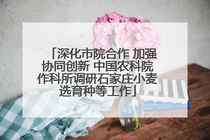 深化市院合作 加强协同创新 中国农科院作科所调研石家庄小麦选育种等工作