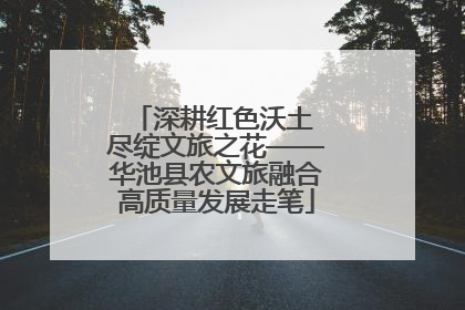 深耕红色沃土 尽绽文旅之花——华池县农文旅融合高质量发展走笔