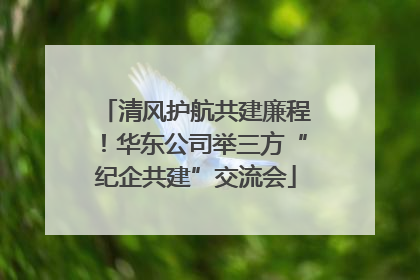清风护航共建廉程！华东公司举三方“纪企共建”交流会