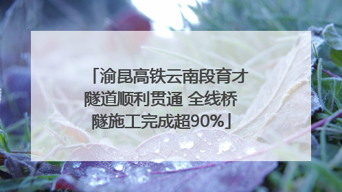 渝昆高铁云南段育才隧道顺利贯通 全线桥隧施工完成超90%