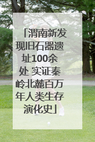 渭南新发现旧石器遗址100余处 实证秦岭北麓百万年人类生存演化史