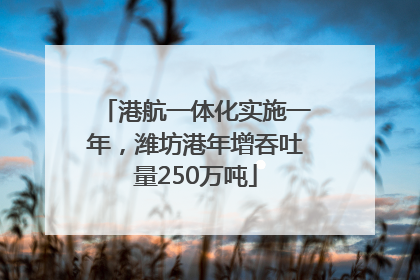 港航一体化实施一年，潍坊港年增吞吐量250万吨
