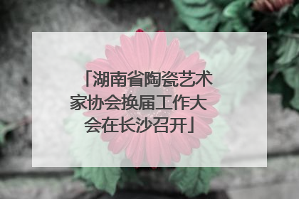 湖南省陶瓷艺术家协会换届工作大会在长沙召开