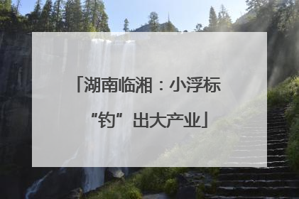 湖南临湘：小浮标“钓”出大产业