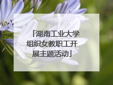湖南工业大学组织女教职工开展主题活动