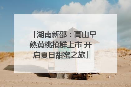 湖南新邵：高山早熟黄桃抢鲜上市 开启夏日甜蜜之旅