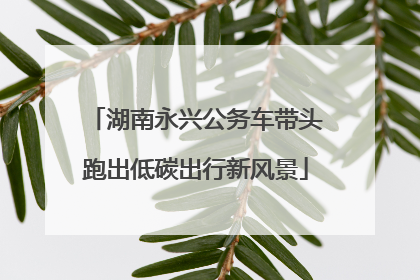 湖南永兴公务车带头跑出低碳出行新风景