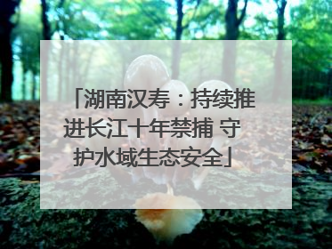 湖南汉寿：持续推进长江十年禁捕 守护水域生态安全
