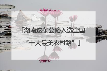 湖南这条公路入选全国“十大最美农村路”