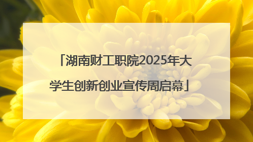 湖南财工职院2025年大学生创新创业宣传周启幕